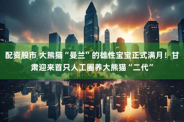 配资股市 大熊猫“曼兰”的雄性宝宝正式满月!甘肃迎来首只人工圈养大熊猫“二代”