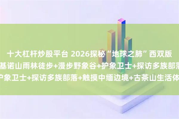 十大杠杆炒股平台 2026探秘“地球之肺”西双版纳夏令营 |升级版纳顶流基诺山雨林徒步+漫步野象谷+护象卫士+探访多族部落+触摸中缅边境+古茶山生活体验···