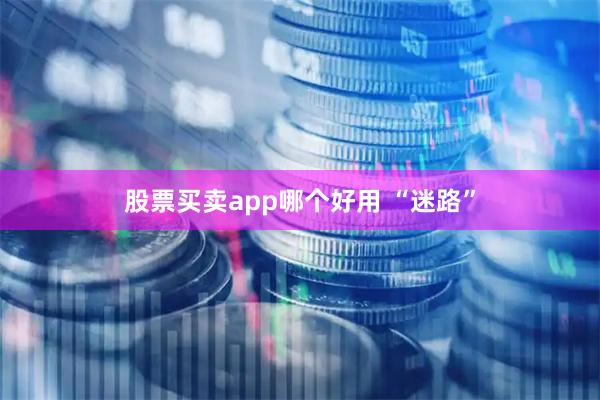 股票买卖app哪个好用 “迷路”